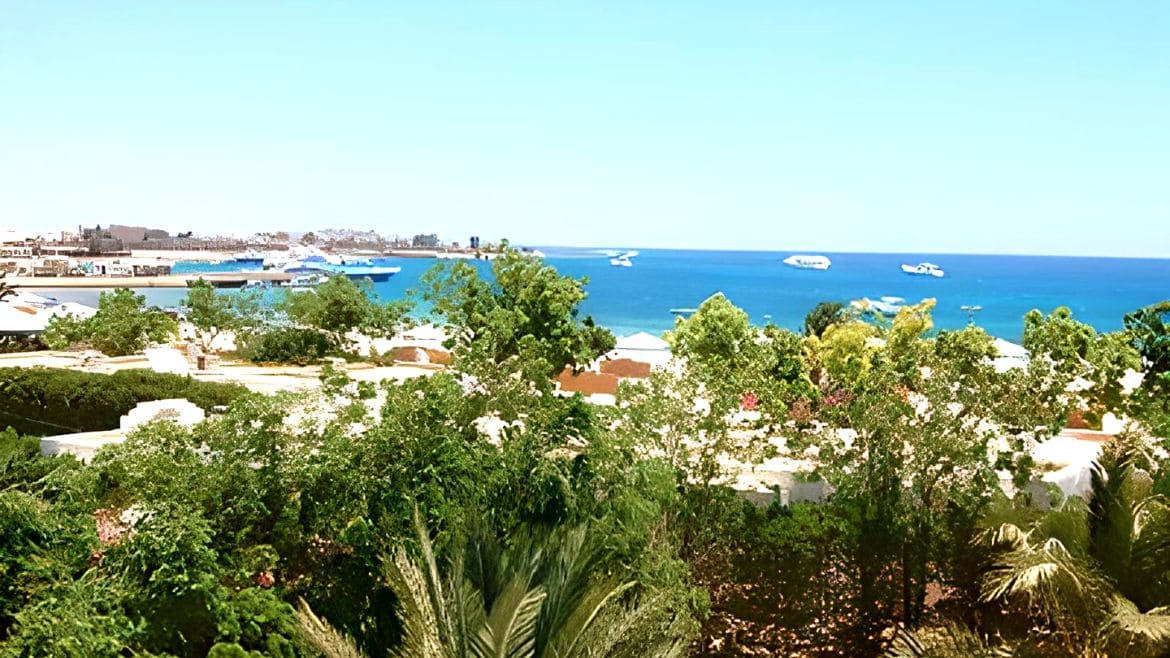 Soma Bay: Aussicht vom Komforthotel Soma Bay: Aussicht vom Komforthotel