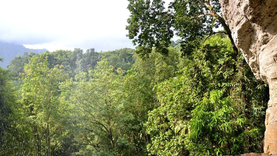 Sri Lanka: Beeindruckende Natur entdecken