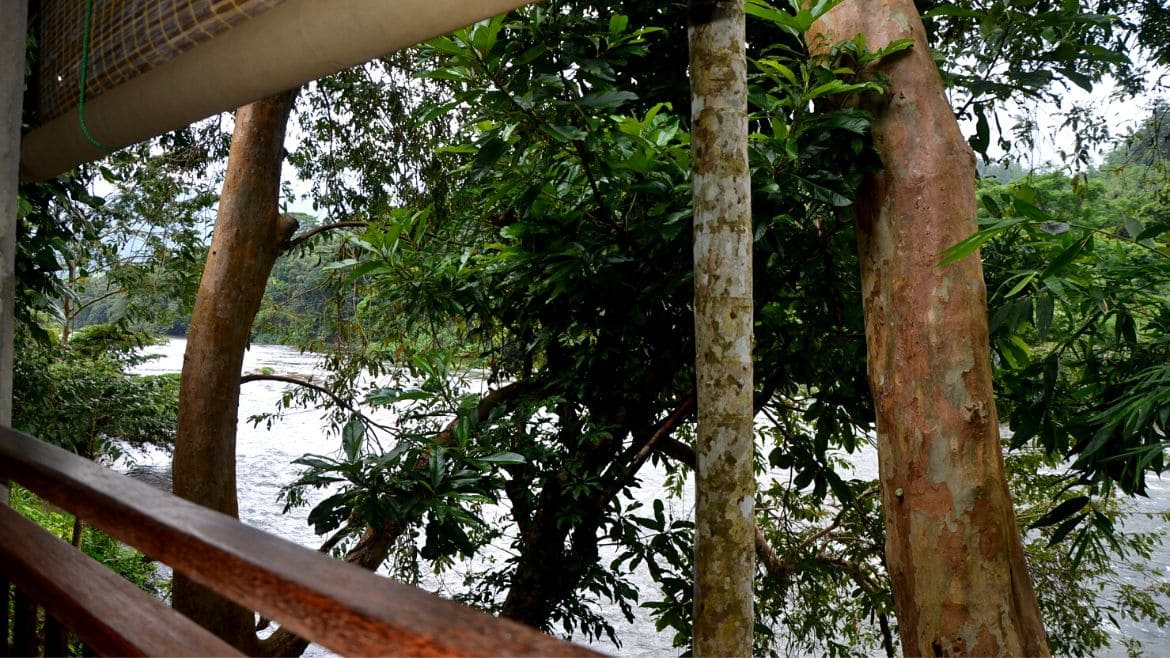 Sri Lanka: Blick auf den Fluss