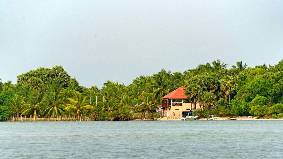 Kalpitiya: Blick auf die Anlage der Surf Cabanas Kalpitiya: Blick auf die Anlage der Surf Cabanas