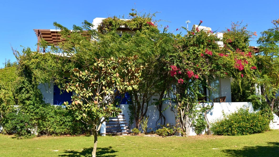 Naxos: Blick auf die Surfer Appartements