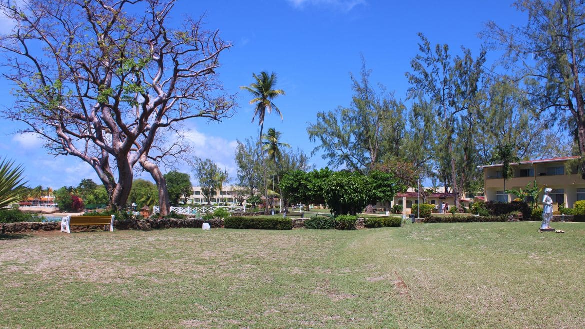 Tobago: Spazieren durch den tollen Außenbereich Tobago: Spazieren durch den tollen Außenbereich