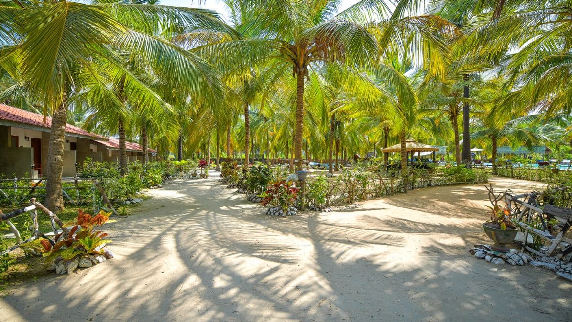 Kalpitiya: Die Palmen Bungalows bieten eine tolle Umgebung Kalpitiya: Die Palmen Bungalows bieten eine tolle Umgebung