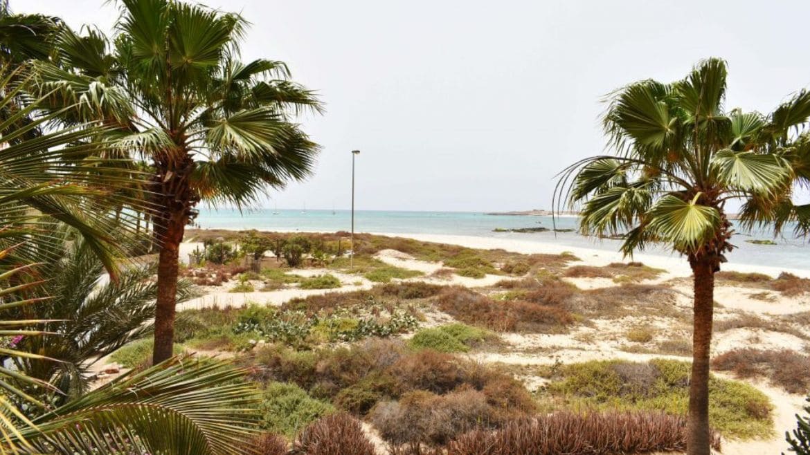 Boa Vista: Blick von der Surflodge zum Strand Boa Vista: Blick von der Surflodge zum Strand