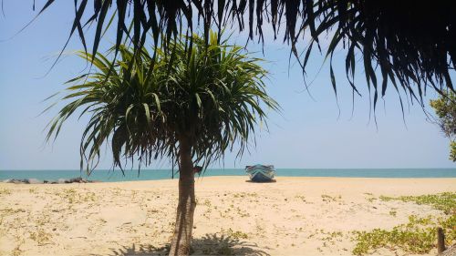 Kappalady: Für die Einreise nach Sri Lanka wird ein Visum benötigt