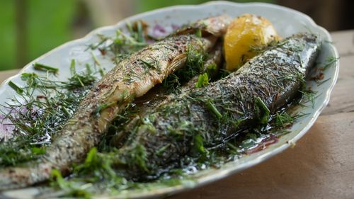 Montenegro: Frischer Fisch darf in Montenegro nicht fehlen Montenegro: Frischer Fisch darf in Montenegro nicht fehlen