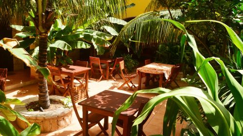 Boa Vista: Innenhof umgeben von wunderbaren Pflanzen Boa Vista: Innenhof umgeben von wunderbaren Pflanzen