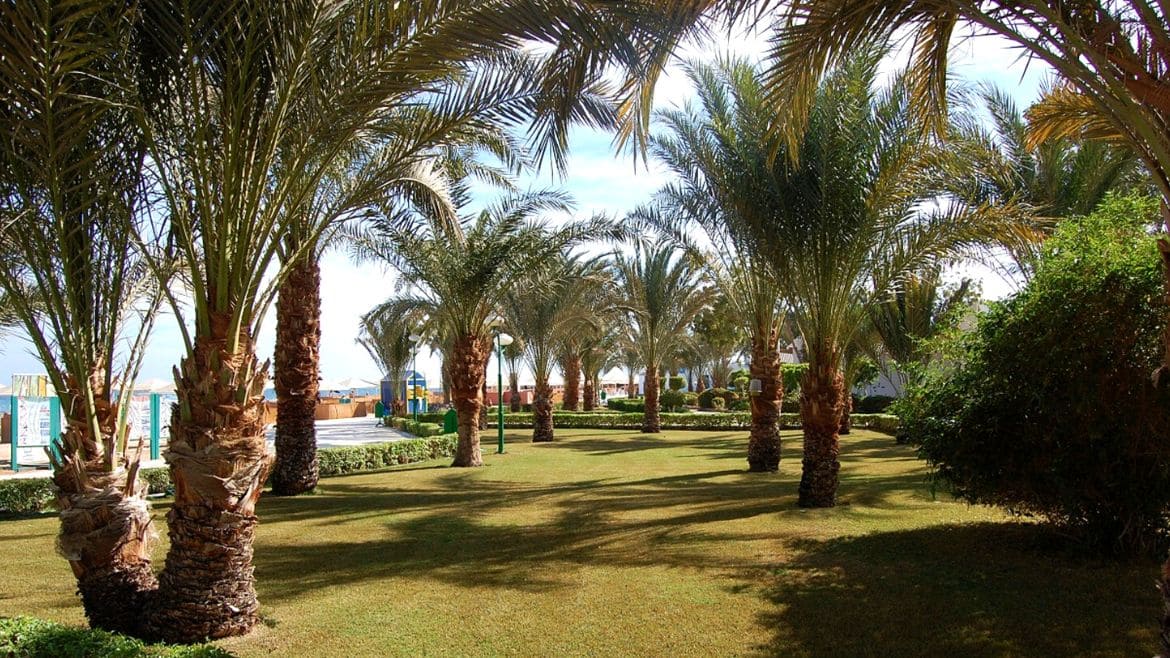 Soma Bay: Gartenbereich des Komforthotels 