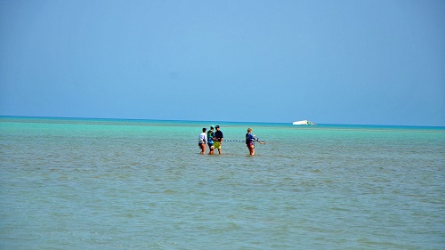 Kite Camps: Gruppenschulung in Hamata