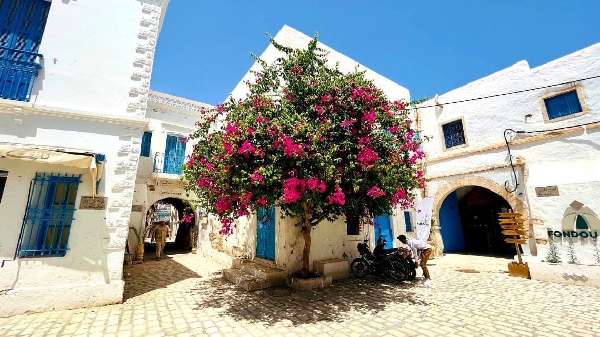 Djerba-Zarzis: Houmt Souk Djerba-Zarzis: Houmt Souk