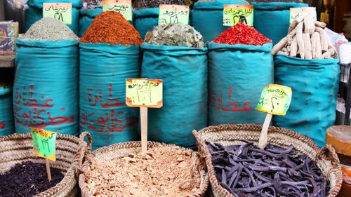 Ägypten: jede Menge Auswahl Ägypten: jede Menge Auswahl