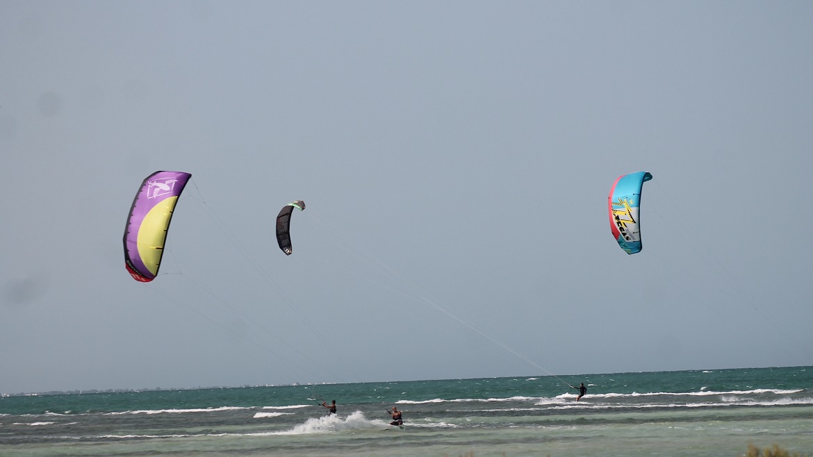 Djerba-Zarzis: Kiter an der Kitesurf Station Djerba-Zarzis: Kiter an der Kitesurf Station
