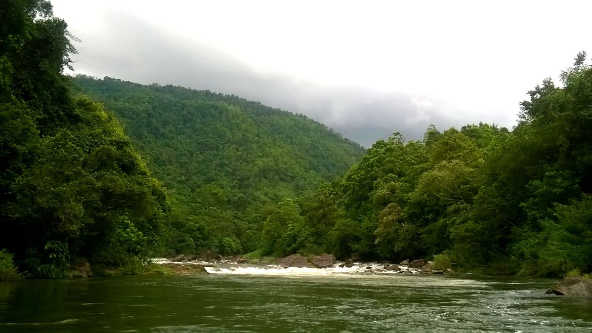 Sir Lanka: Natur pur in Sri Lanka