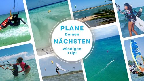 News: Newsletter August 2024