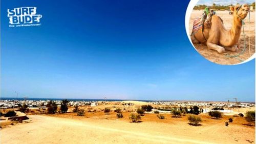 News: Newsletter Spezial Juli 2022