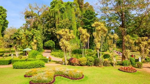 Sri Lanka: Peradeniya
