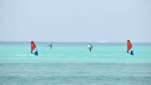 Boa Vista: Wind-und Wingsurfen