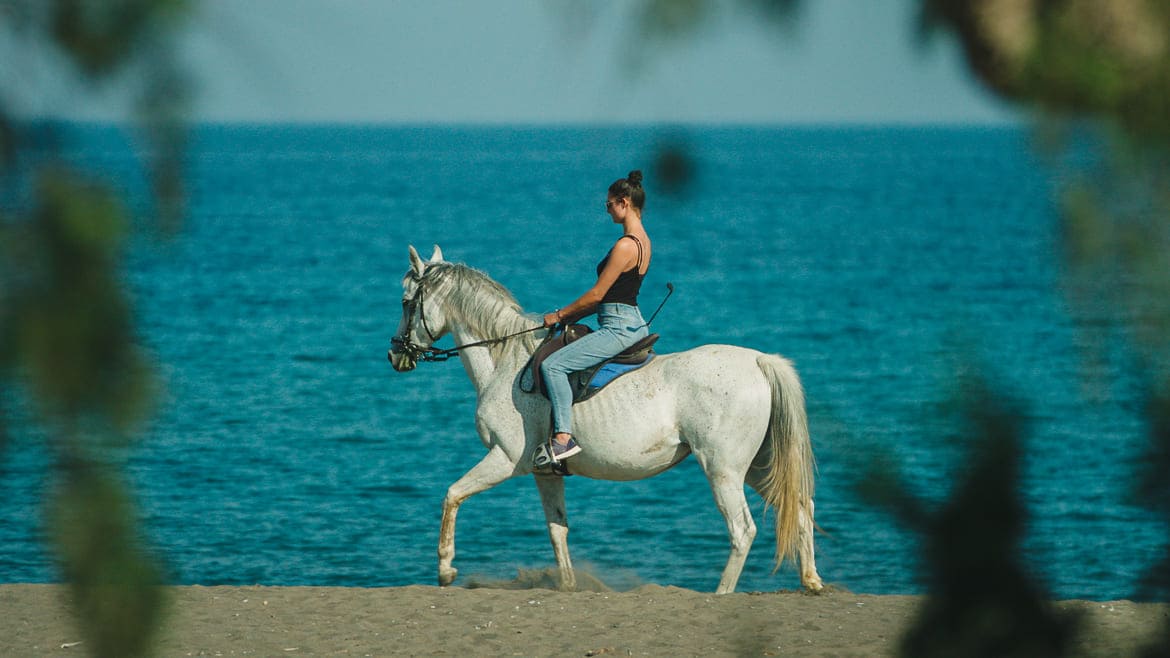 Rhodos Fanes: Reiten am Strand der Kitesurf Station