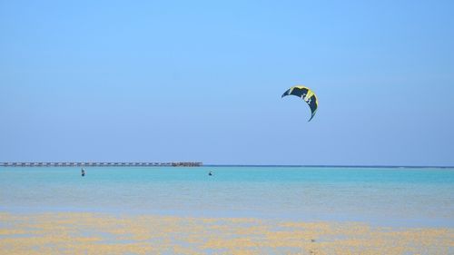 Kitesurfen lernen: Kiten lernen in Marsa Alam