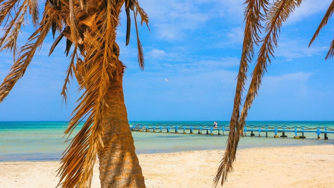 Djerba-Zarzis: Blick auf den Strand des Komforthotel Djerba-Zarzis: Blick auf den Strand des Komforthotel