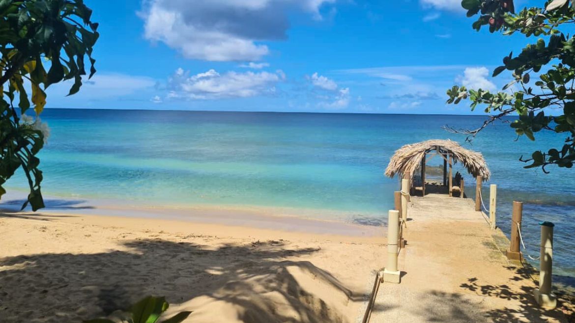 Tobago: Strandbereich Tobago: Strandbereich