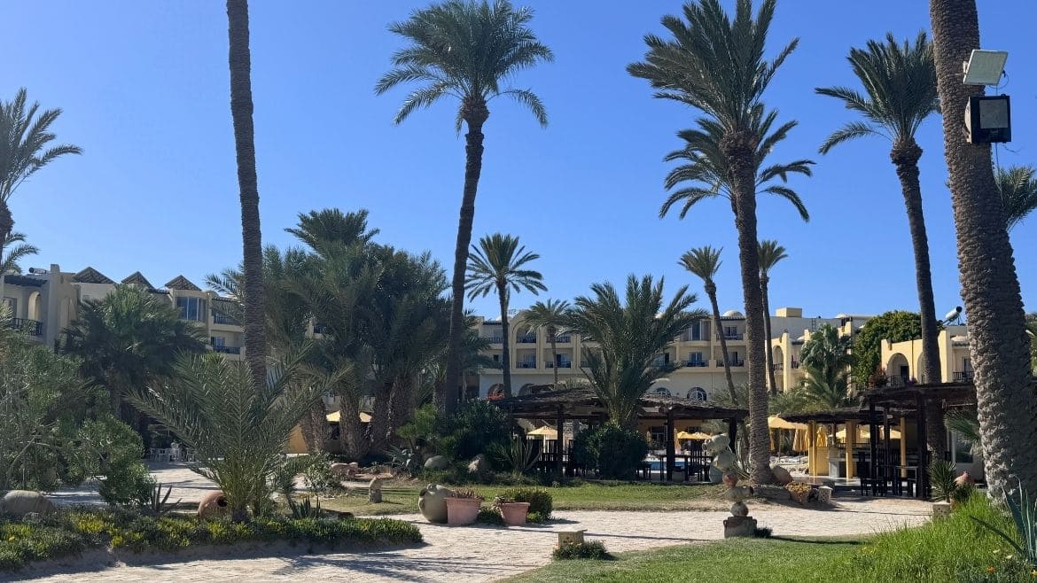 Zarzis: Toller Palmengarten im Hotel Zarzis: Toller Palmengarten im Hotel
