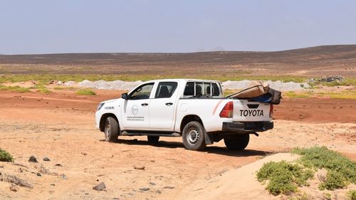 Boa Vista: Transfer Boa Vista: Transfer