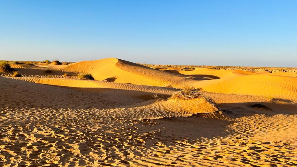 Zarzis: Wüstenlandschaft von Tunesien Zarzis: Wüstenlandschaft von Tunesien