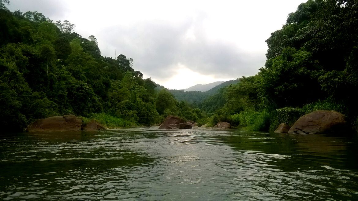 Sri lanka: Wunderbare Natureindrücke während der Rundreise 