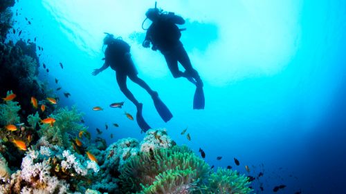 Hamata: Eine wunderbare Unterwasserwelt findet man in Ägypten