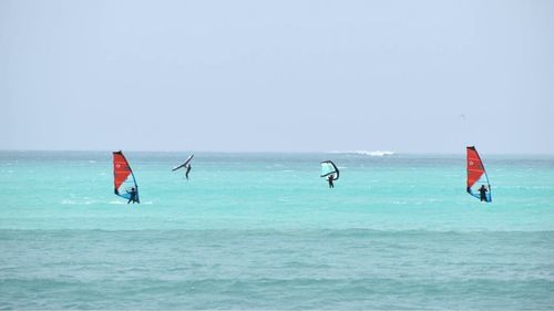 Boa Vista: Wind-und Wingsurfen