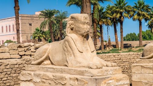 El Naaba: Ausflug nach Luxor