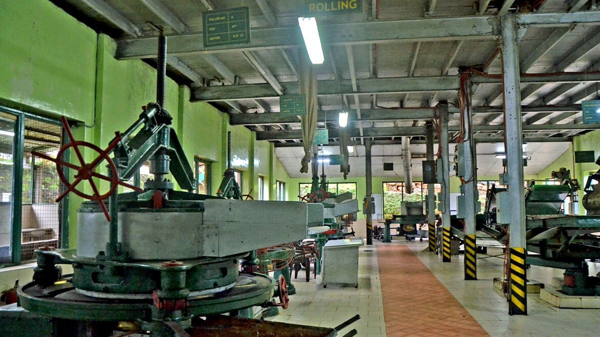 Sri Lanka: Besichtigung einer Teefabrik
