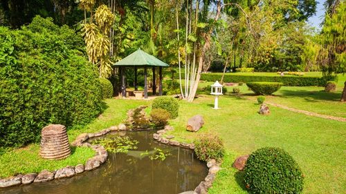Sri Lanka: Peradeniya, ein wunderbarer botanischer Garten 