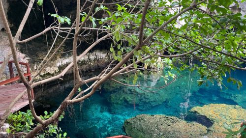 Sansibar: Die Maalum Grotte