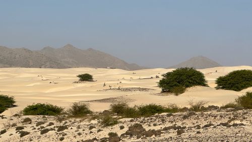 Boa Vista: Die Unterkunft ist gerne bei der Organisation von Ausflügen behilflich