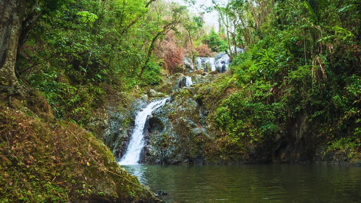 Tobago: Argyle Wasserfall 