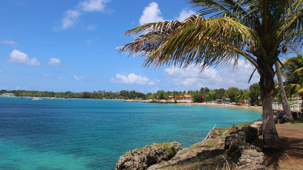 Tobago: Toller Ausblick mit atemberaubenden Wasserfarben