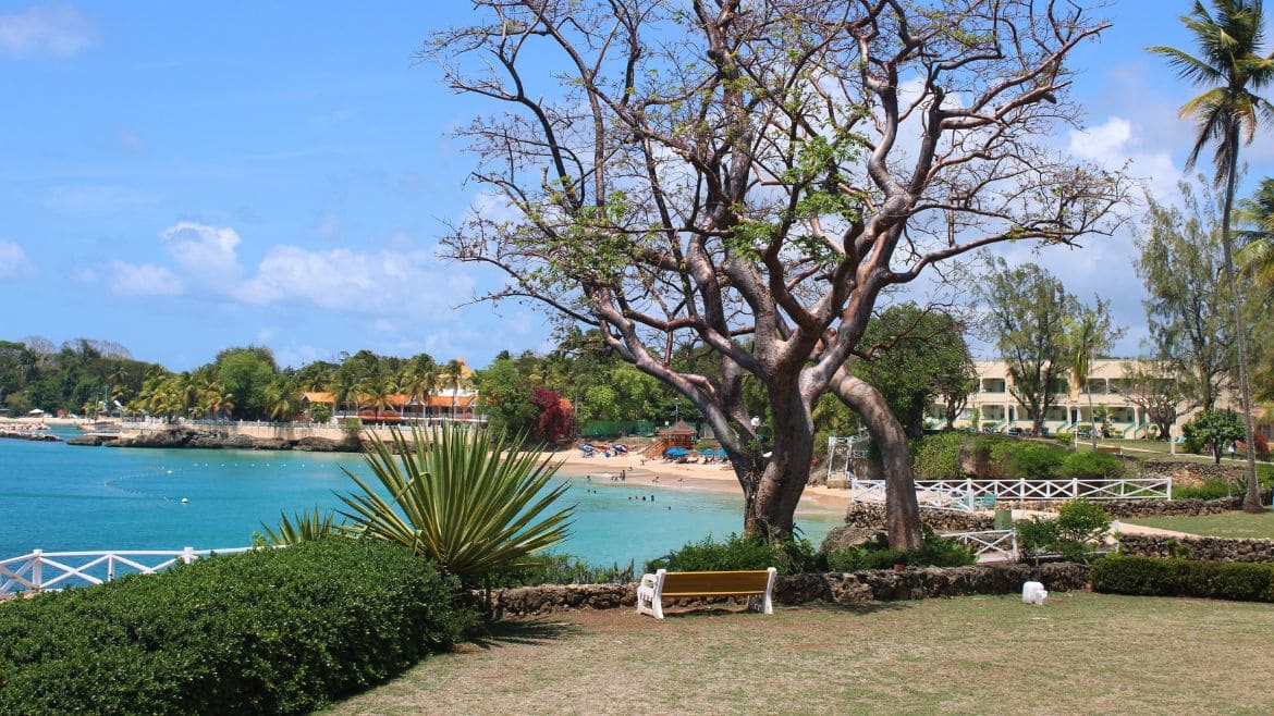 Tobago: Entspannen und einen schönen Ausblick genießen