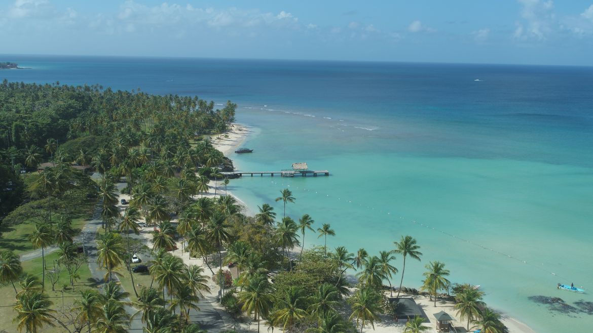 Tobago: Die Station umgeben von zahlreichen Palmen