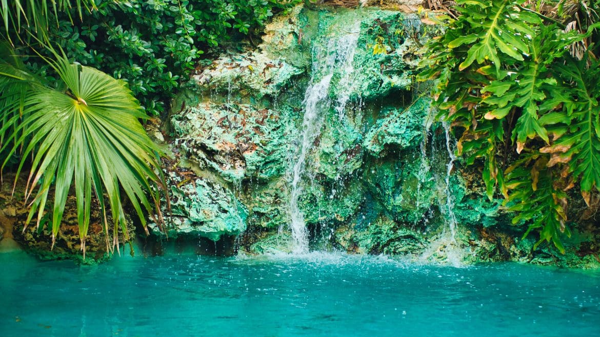 Tobago: Kleiner Wasserfall 