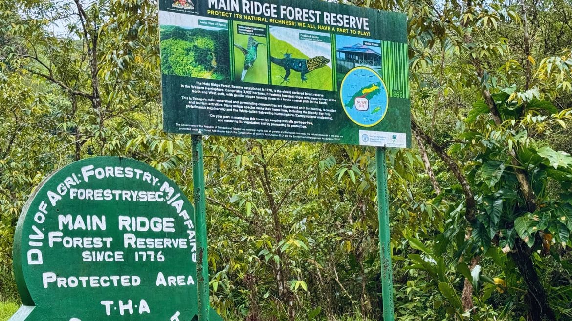 Tobago: Main Ridge Forest Reserve Toabago ist das älteste Naturschutzgebiet der westlichen Hemisphäre.