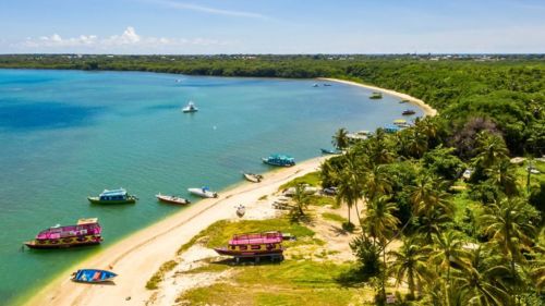 Tobago: Glass Boat Tour zum Nylon Pool und Buccoo Reef