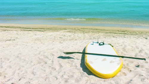 Tobago: SUP Tour