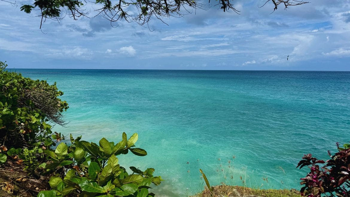 Tobago: Ausblick vom Surfhotel aus