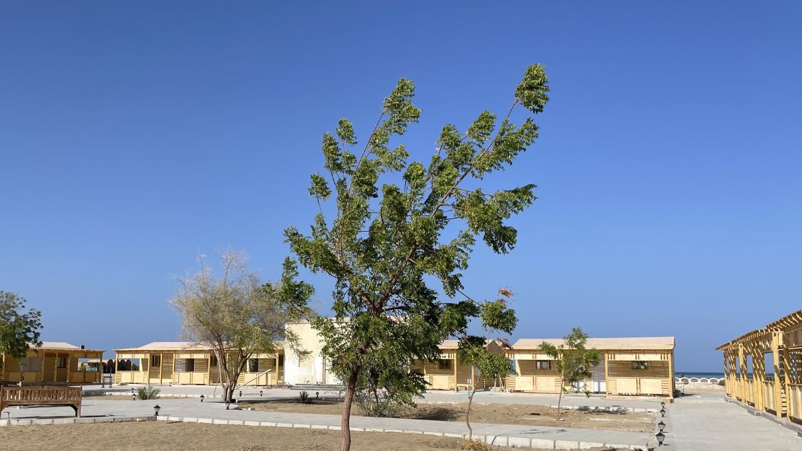 Hamata: Kleiner Gartenbereich im Kite Camp